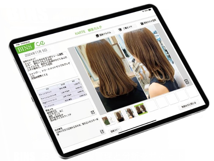 iPad Electronic Chart UI